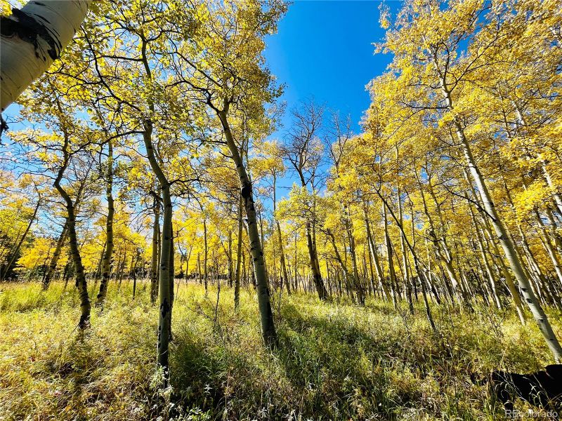 151 Golden Leaf Wy, Black Hawk, CO 80422