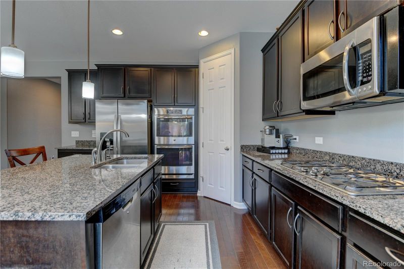 3259 Starry Night Loop, Castle Rock, CO 80109