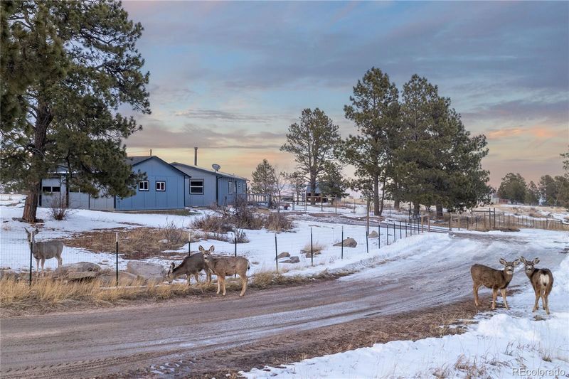 22897 Eagle Dr, Elbert, CO 80106