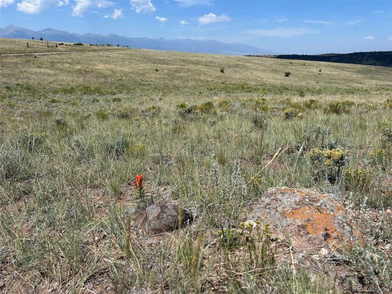 2099 Gibbs Dr, Westcliffe, CO 81252