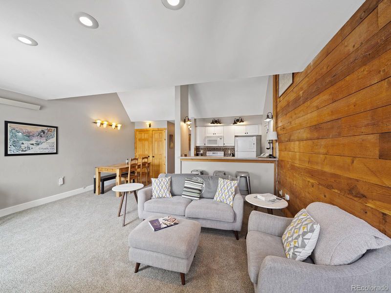 165 Argentine Ct #1408, Dillon, CO 80435