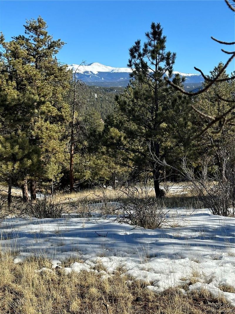 48 Shavano Trl, Florissant, CO 80816