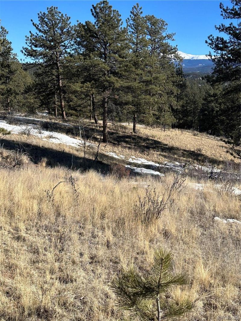 48 Shavano Trl, Florissant, CO 80816
