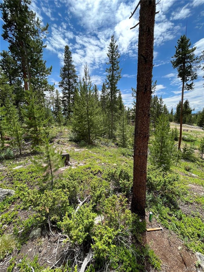 64 County Road 4657, Grand Lake, CO 80447