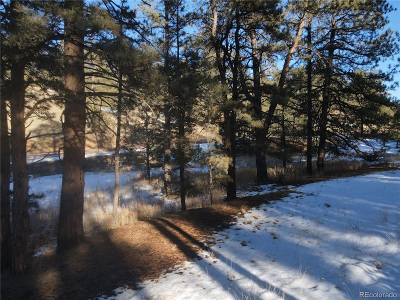 85 Wilson Dr, Florissant, CO 80816