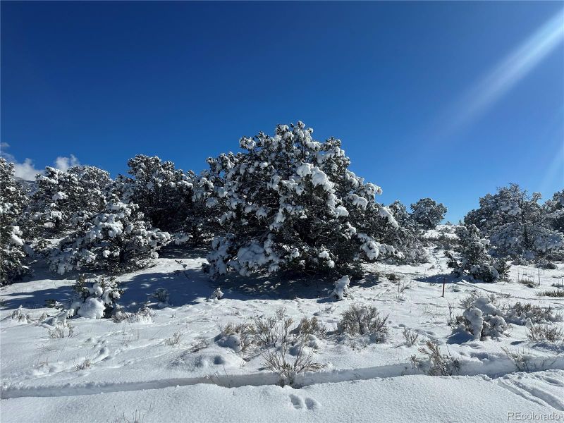 660 Lakewood Ol, Crestone, CO 81131