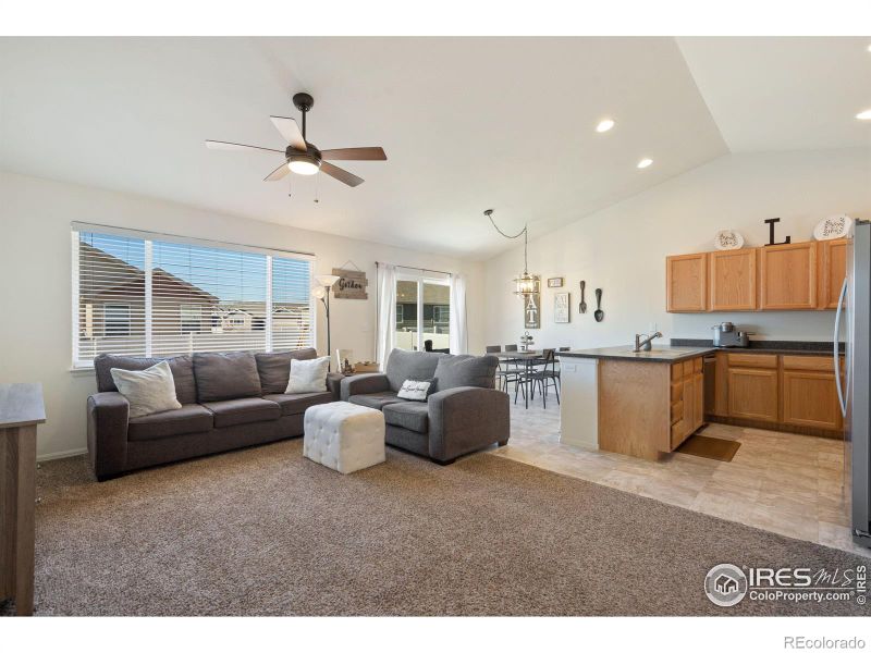 717 Mt Evans Ave, Severance, CO 80550