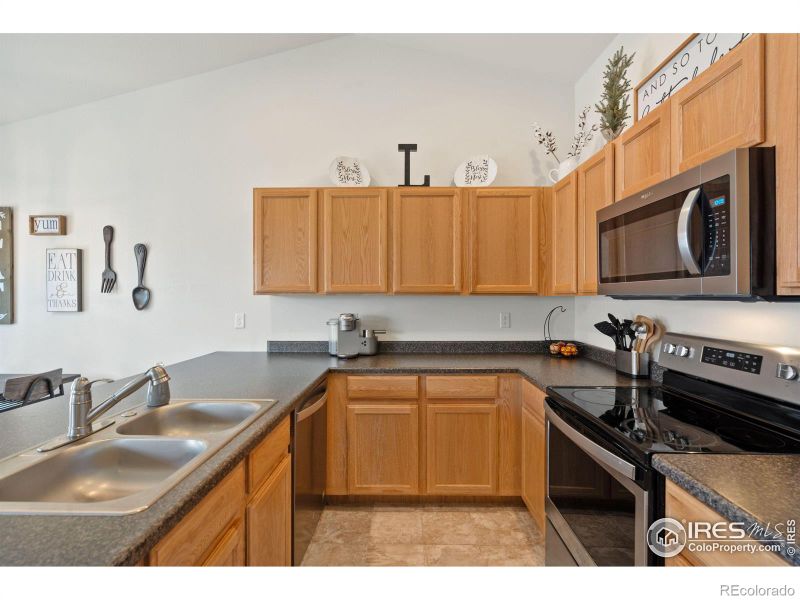 717 Mt Evans Ave, Severance, CO 80550