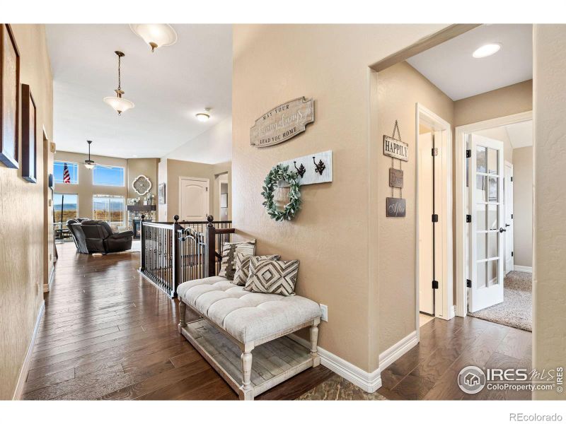 1883 Atna Ct, Windsor, CO 80550