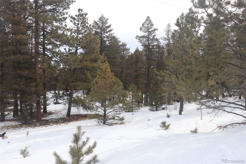 1487 Bellows Rd Lot 1462, Hartsel, CO 80449