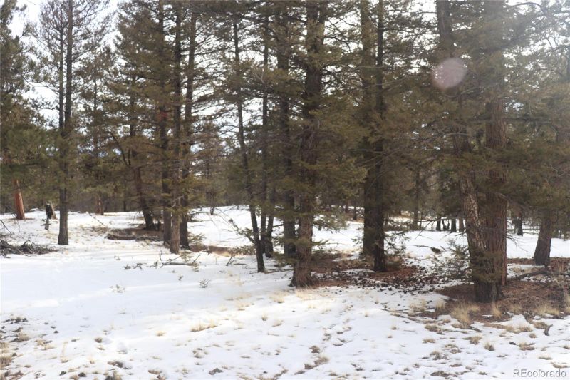 1487 Bellows Rd Lot 1462, Hartsel, CO 80449