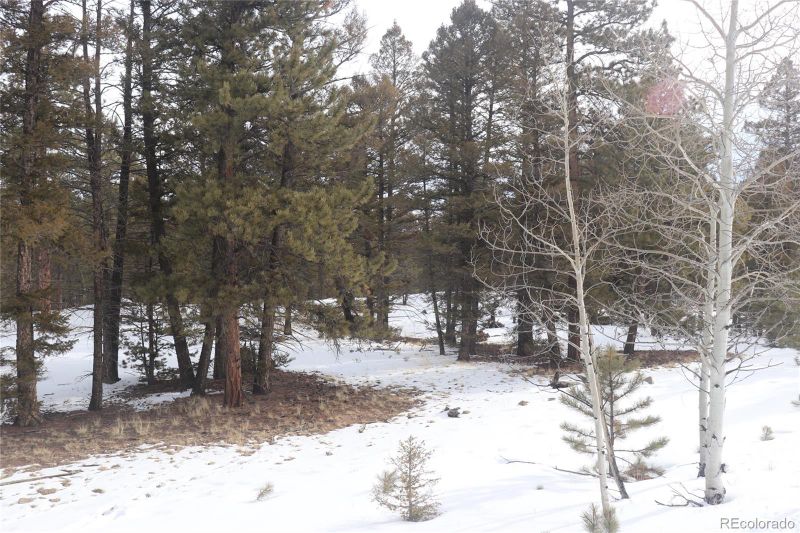 1487 Bellows Rd Lot 1462, Hartsel, CO 80449