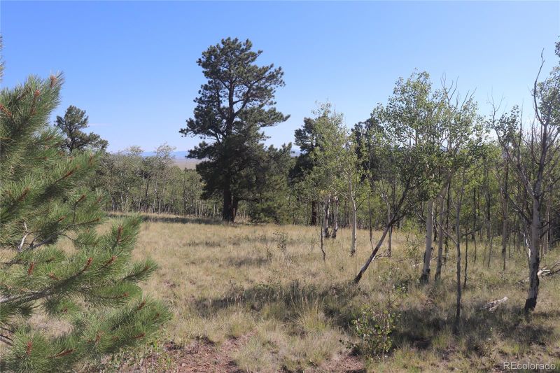 1300 Brahma Cir Lot 937, Hartsel, CO 80449