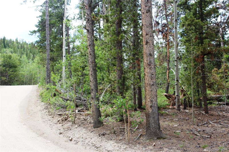 00 Pisgah Lake Rd Lot 7247, Idaho Springs, CO 80425