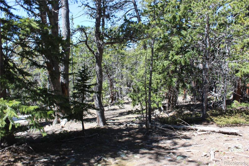 10 Arapahoe Rg Lot 10, Black Hawk, CO 80422