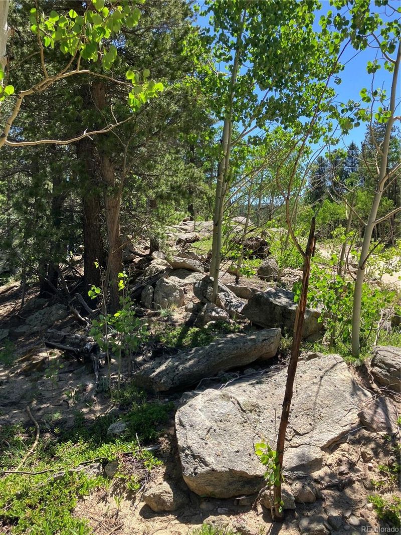 119 Cedar Way Lot 6, Black Hawk, CO 80422