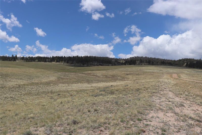 11633 Ranch Rd Lot 1020, Hartsel, CO 80449