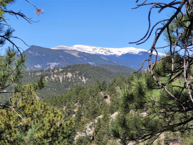 15247 S Huerfano Ln, Pine, CO 80470