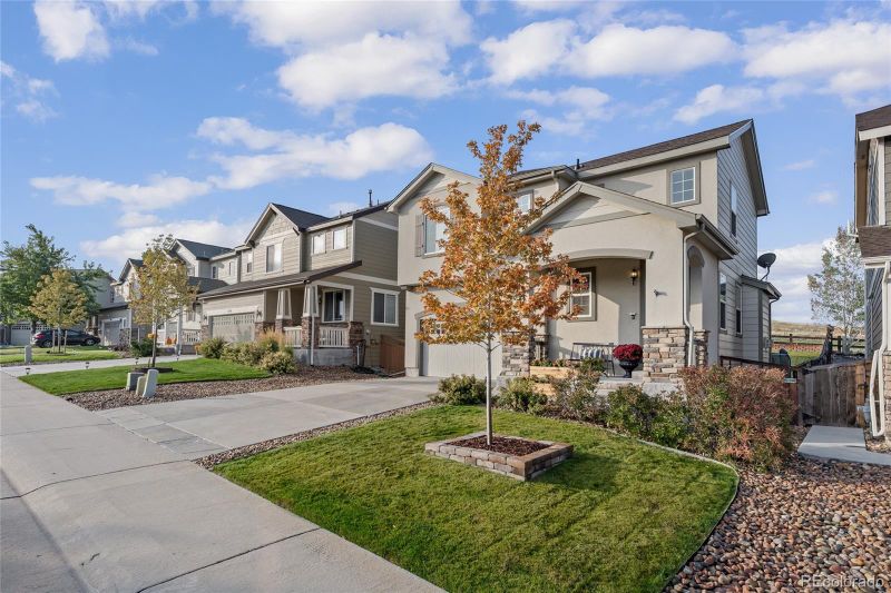 3004 Open Sky Way, Castle Rock, CO 80109