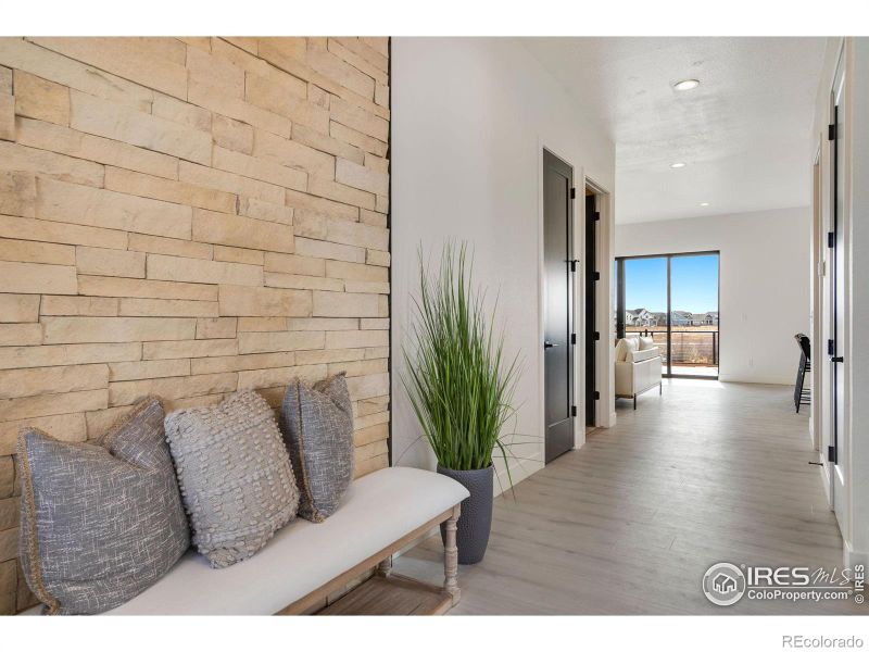 221 Cornelia Dr, Windsor, CO 80550