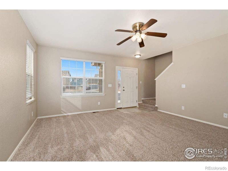 1651 Merton Ct, Windsor, CO 80550