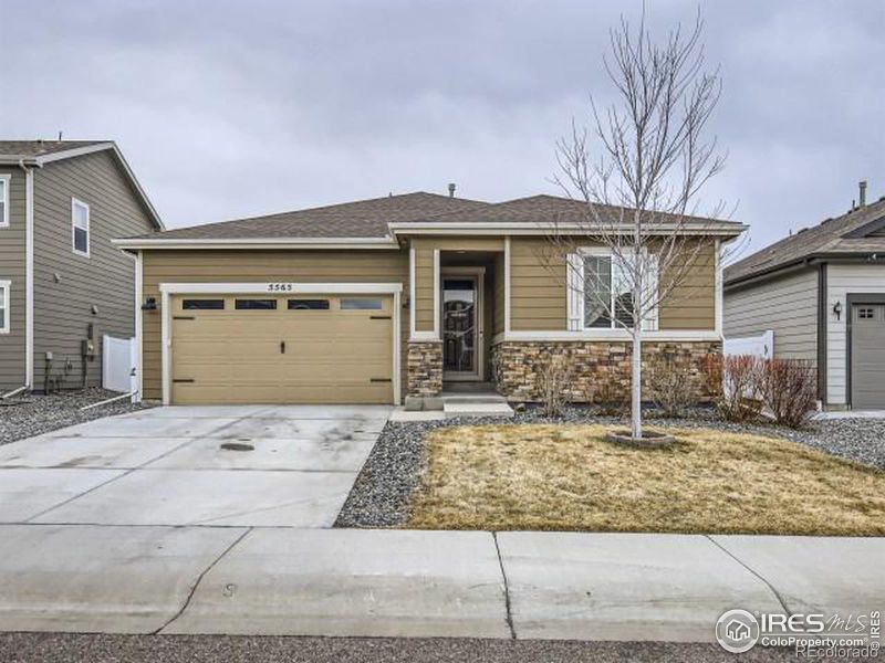 5565 Osbourne Dr, Windsor, CO 80550