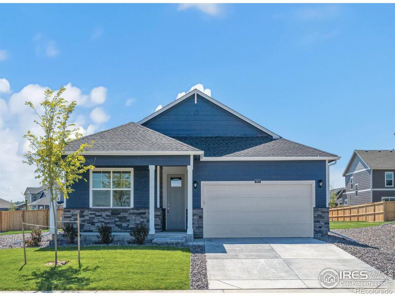 5013 Abigar St, Windsor, CO 80528