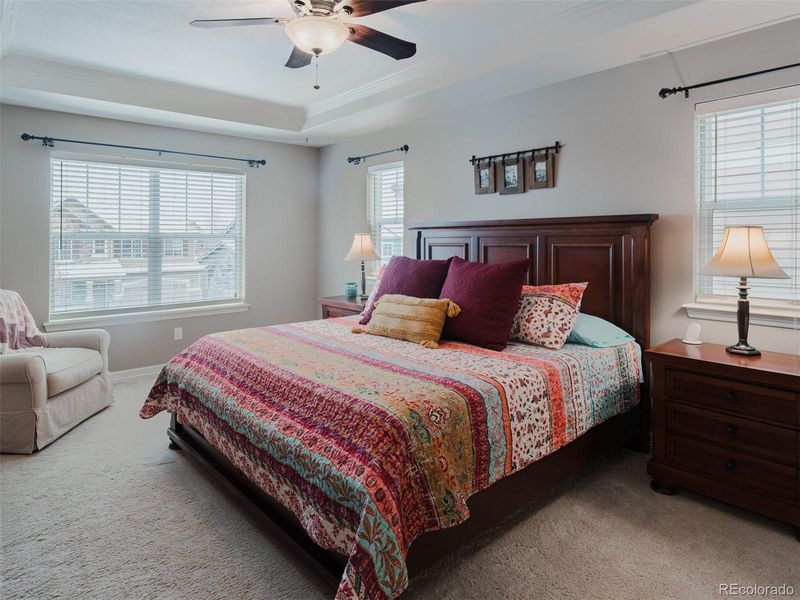 1354 Mathews Way, Erie, CO 80516
