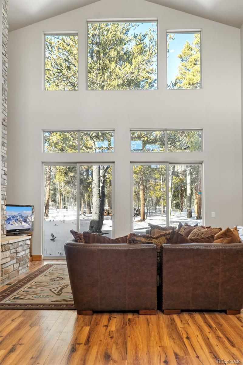 377 Wild Rye Rd, Fairplay, CO 80440