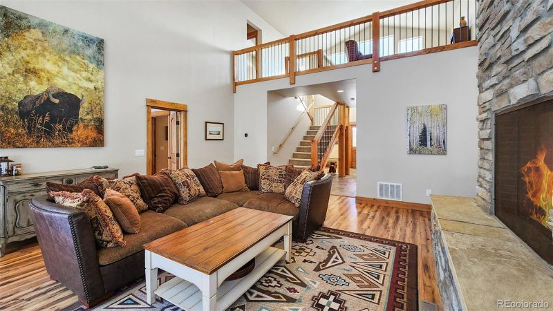 377 Wild Rye Rd, Fairplay, CO 80440