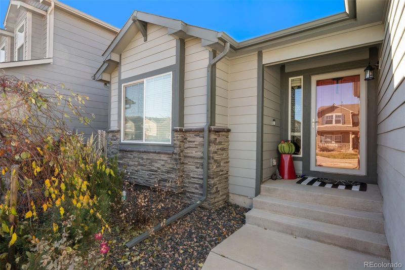 7437 Cat Tail Creek Dr, Colorado Springs, CO 80923