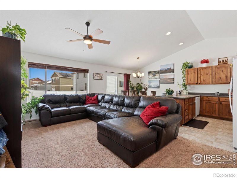 806 Sambar Dr, Severance, CO 80550