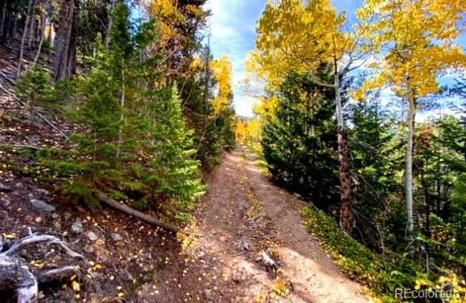 1111 Paris, Idaho Springs, CO 80452