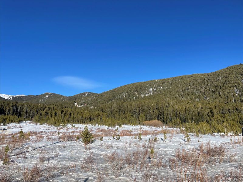 Lot 38 Silver Creek Rd, Idaho Springs, CO 80452