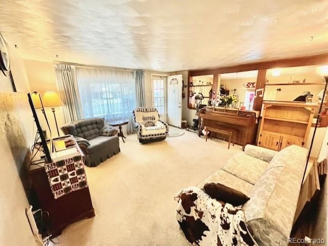 601 S 2nd Ave, Brighton, CO 80601
