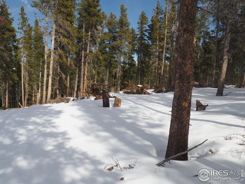 0 Genevas Way, Black Hawk, CO 80422