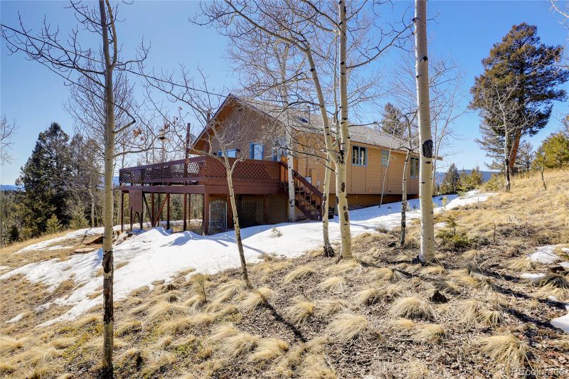 675 Tapadero Rd, Bailey, CO 80421