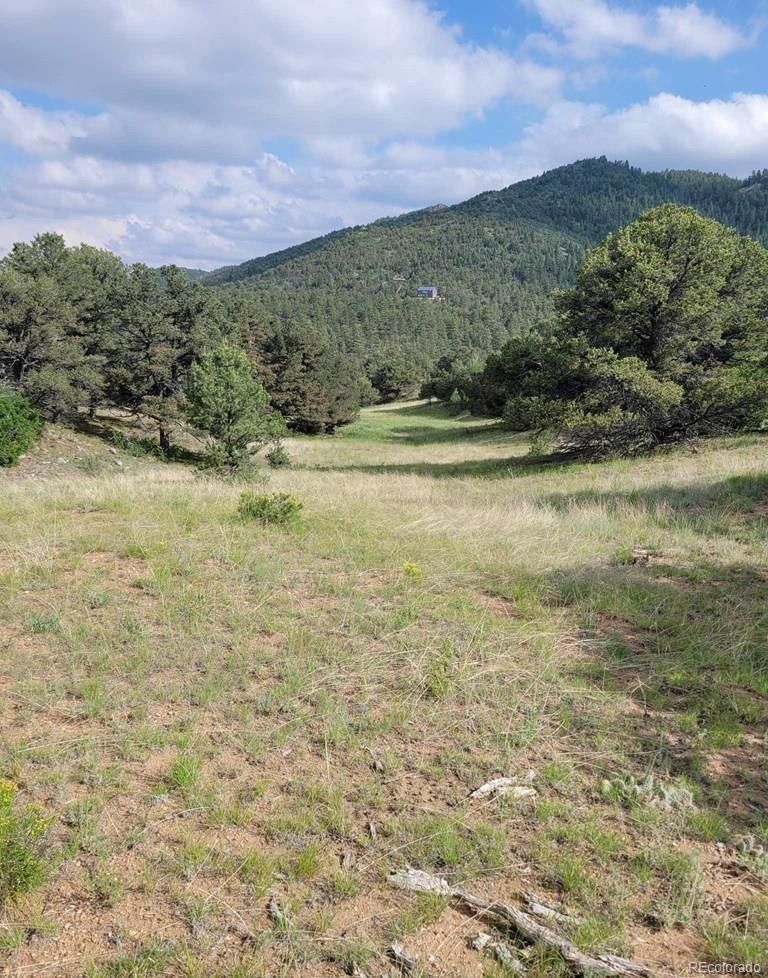 TBD L10 Sundance, Cotopaxi, CO 81223