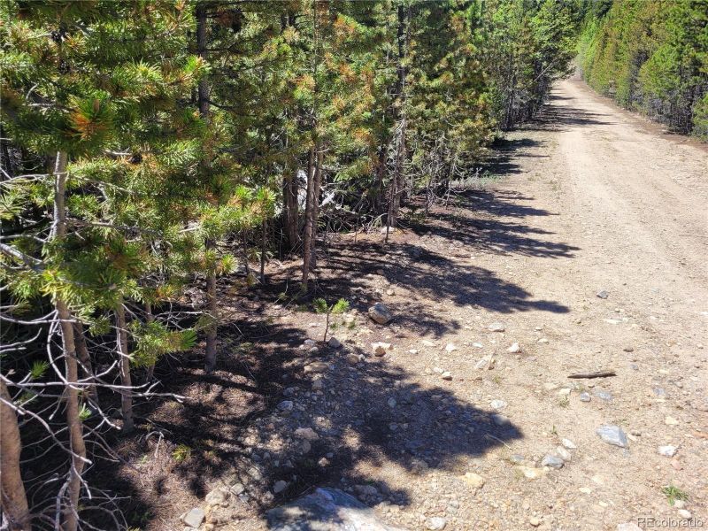 336 Eva Rd, Idaho Springs, CO 80452