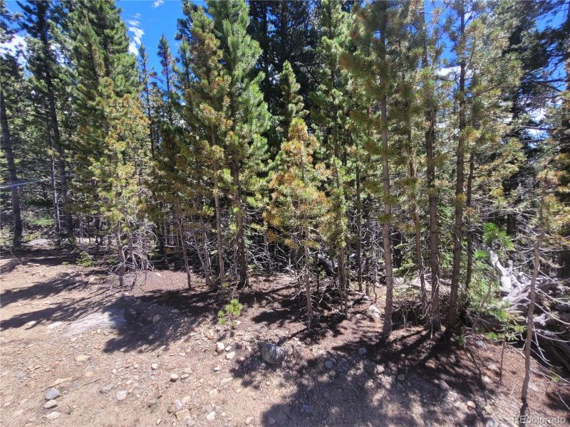 336 Eva Rd, Idaho Springs, CO 80452