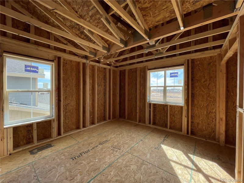 5564 Mare Ln, Timnath, CO 80547