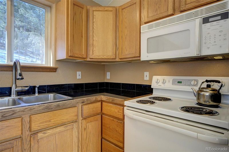 15431 Toboggan Rd, Pine, CO 80470
