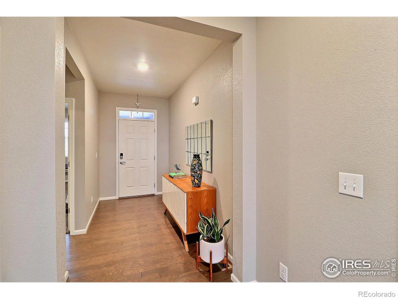 834 Camberly Dr, Windsor, CO 80550