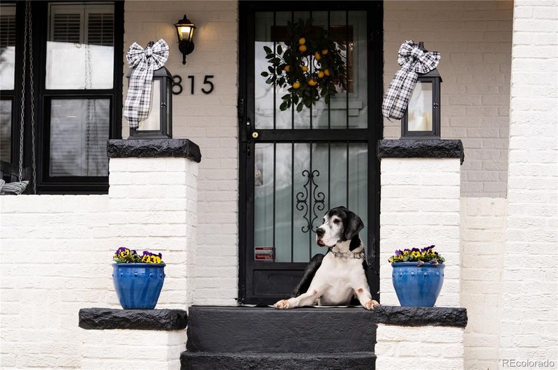 815 Garfield St, Denver, CO 80206