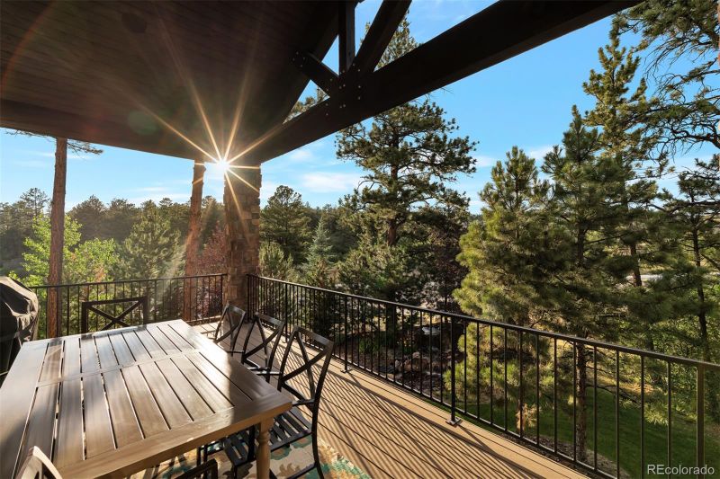 1835 Tulip Tree Pl, Castle Rock, CO 80108