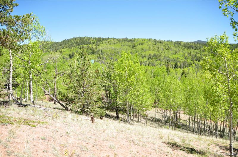 81 Strong Ct, Cripple Creek, CO 80813