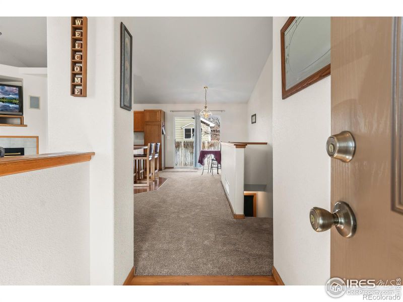 608 Hemlock Dr, Windsor, CO 80550