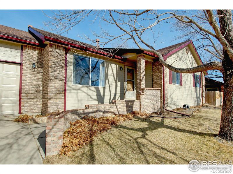 608 Hemlock Dr, Windsor, CO 80550