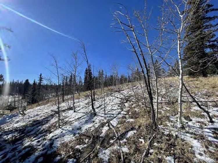 445 Spearpoint Rd, Como, CO 80432