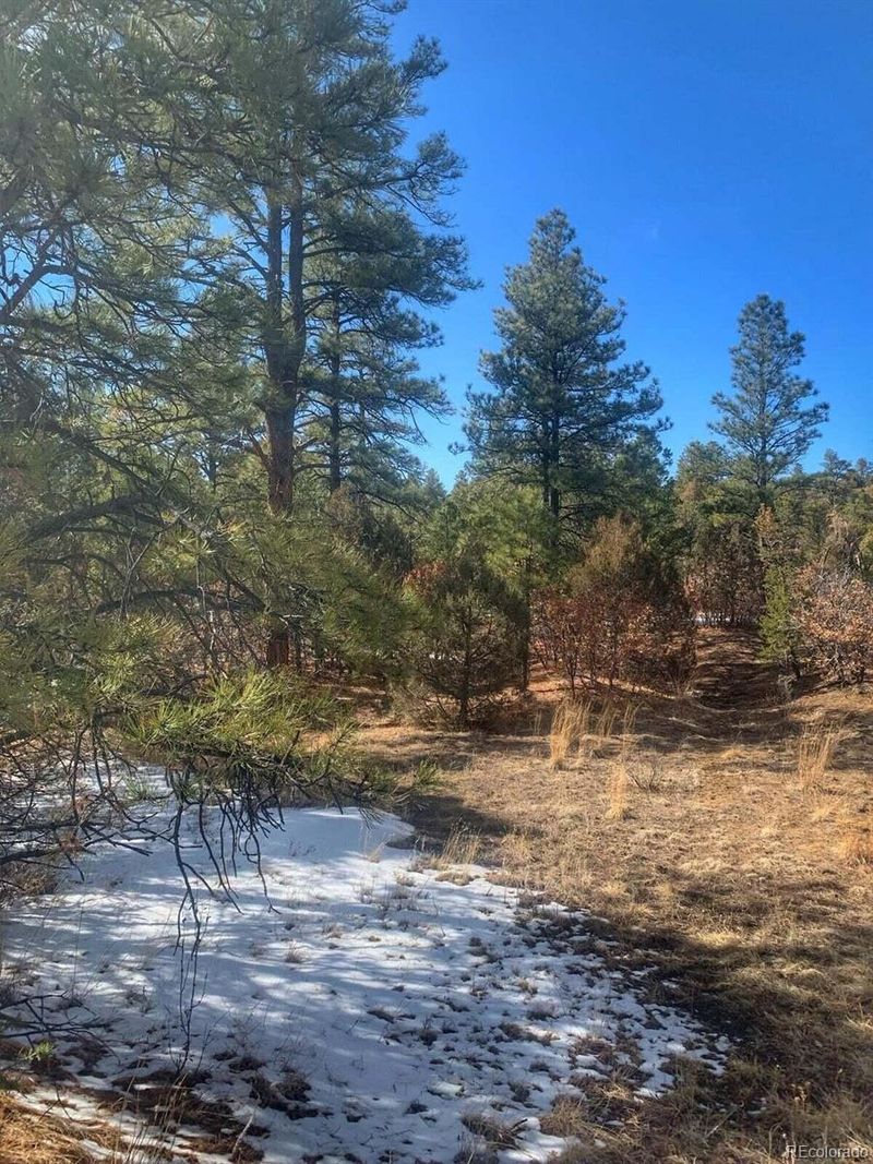 Lot 122 Spanish Highlands, Boncarbo, CO 81024